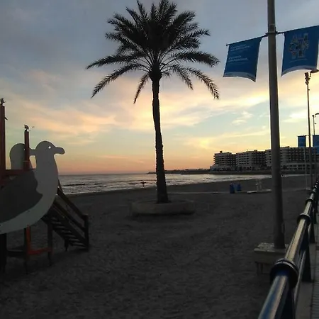 Viso-54 * Alicante